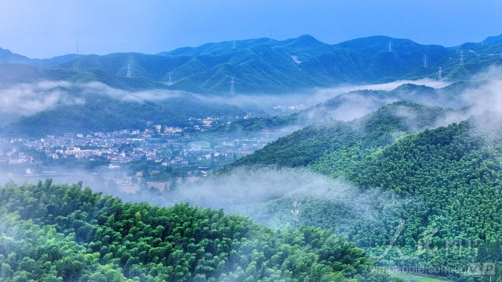 安吉竹海云雾山景