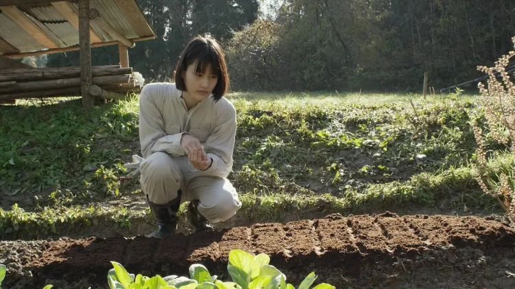 蹲在菜园里查看垄沟的女性