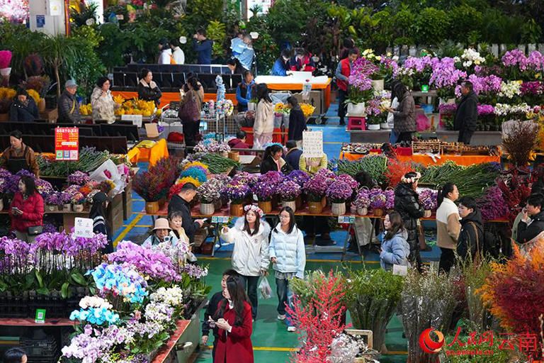 斗南花市