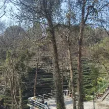 九溪十八涧溪流与林荫步道