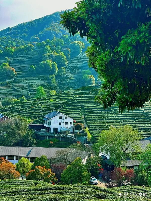 十里琅珰山脊与茶园