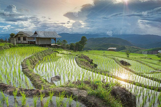 清迈湄林山景与稻田