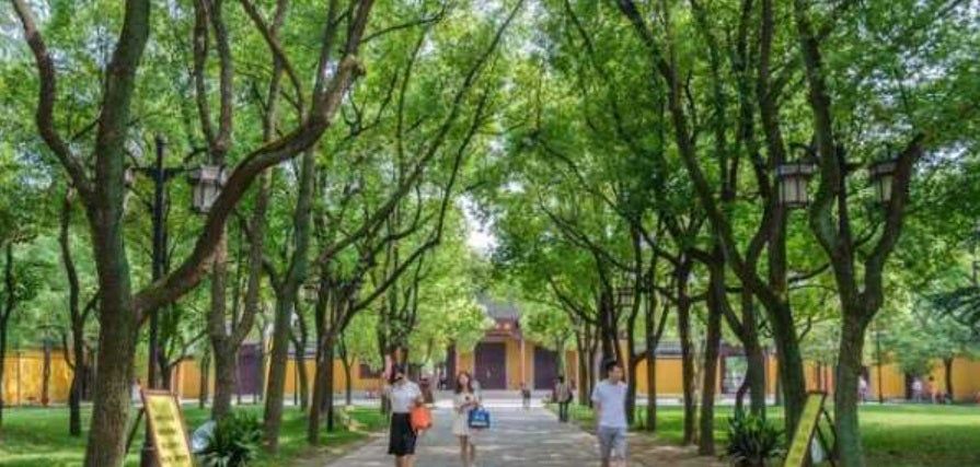 西园寺五百罗汉堂与放生池（示意配图）
